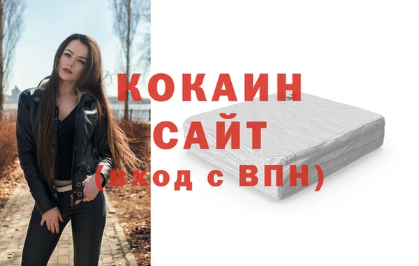 хмурый Аркадак