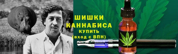 хмурый Аркадак