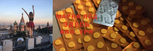 хмурый Аркадак
