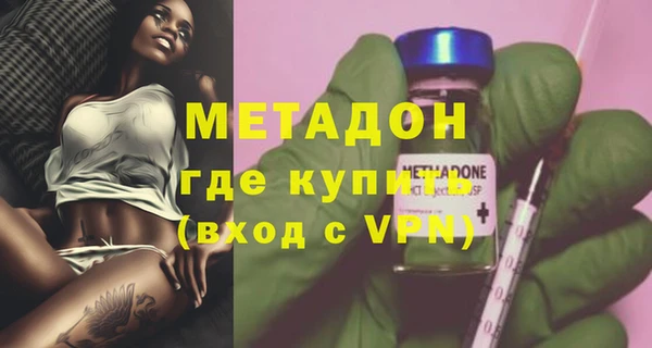 хмурый Аркадак