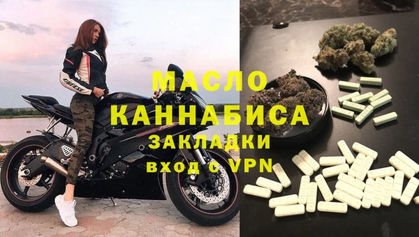 хмурый Аркадак