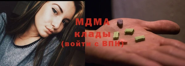 хмурый Аркадак