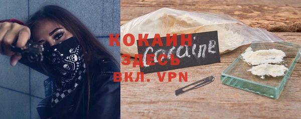 хмурый Аркадак