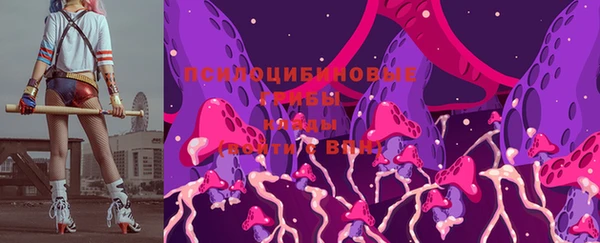 Альфа ПВП Арсеньев