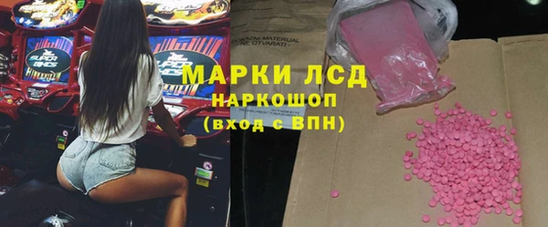 хмурый Аркадак